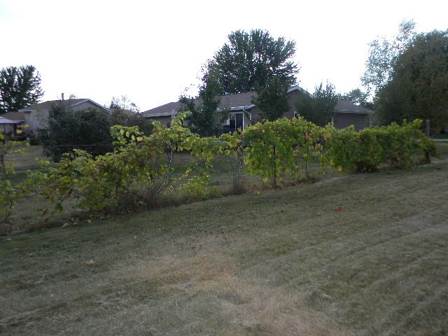 617 Pin Oak Road Rockton, IL 61072 - Photo 23 of 25 a view of a field with trees in the background