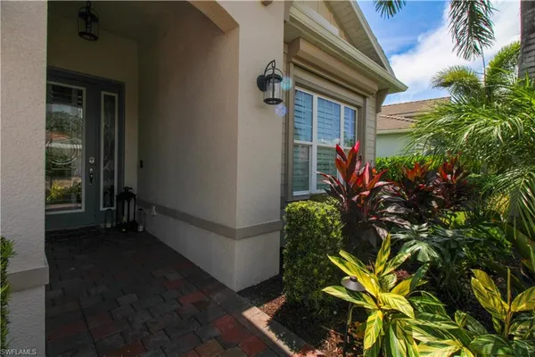 a potted plant sitting in front of a house