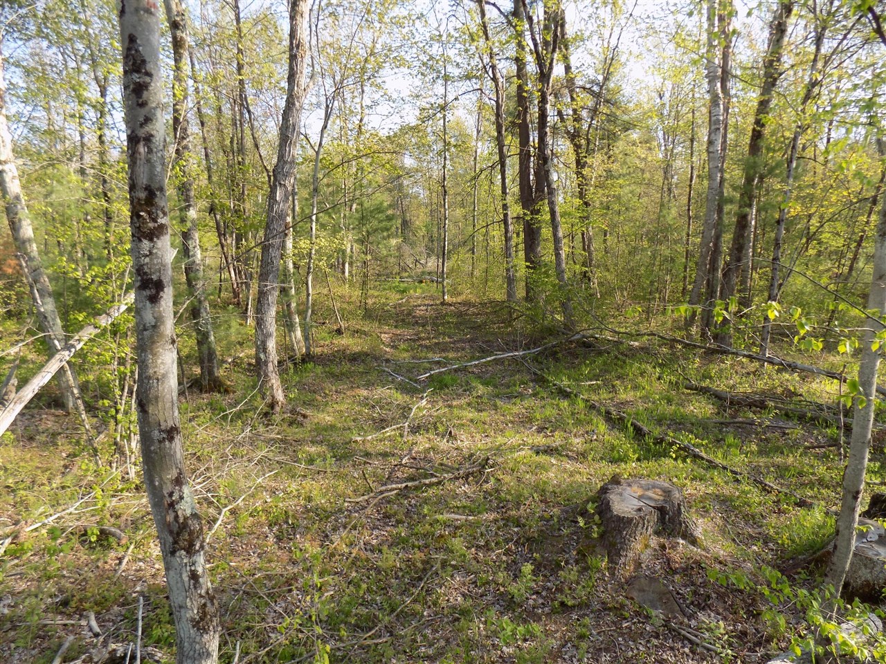 8590 West Long Lake Road Harrison, MI 48625 - Photo 21 of 50