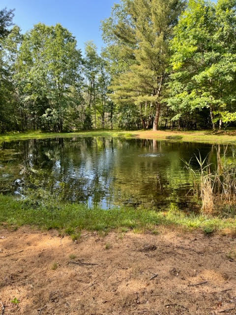 566 Marzinski Road Manistee, MI 49660 - Photo 19 of 35 Pond
