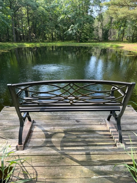566 Marzinski Road Manistee, MI 49660 - Photo 20 of 35 Pond