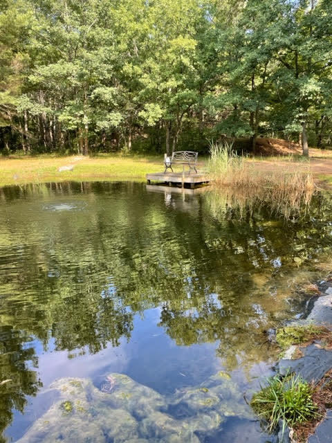 566 Marzinski Road Manistee, MI 49660 - Photo 21 of 35 Pond