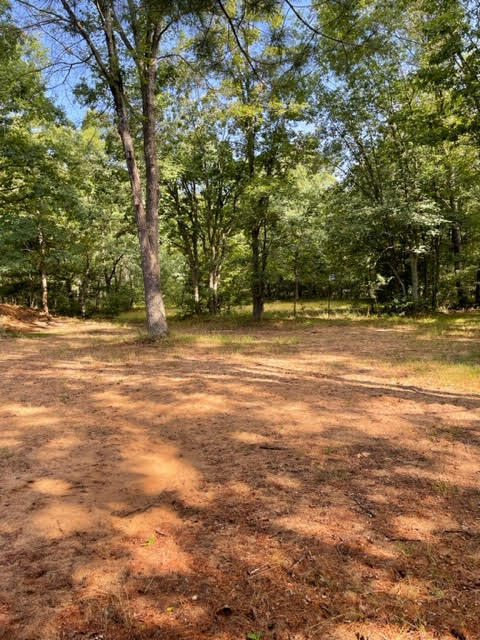566 Marzinski Road Manistee, MI 49660 - Photo 22 of 35 Wooded