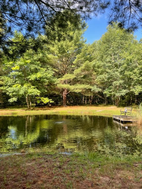 566 Marzinski Road Manistee, MI 49660 - Photo 24 of 35 Pond