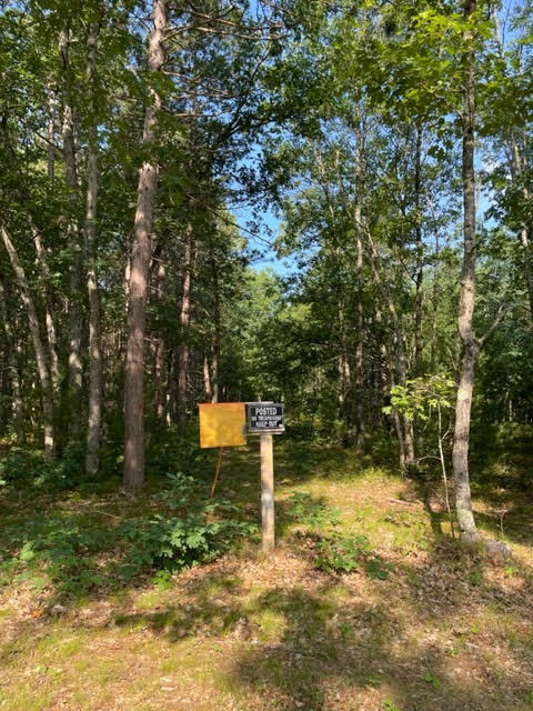 566 Marzinski Road Manistee, MI 49660 - Photo 26 of 35 Flagged boundary line