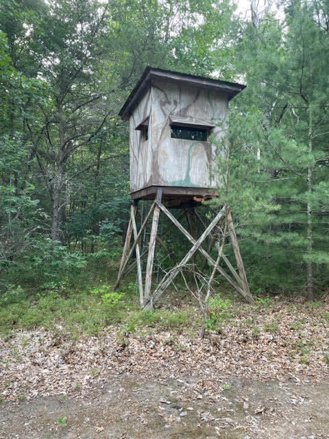 566 Marzinski Road Manistee, MI 49660 - Photo 29 of 35 Blind