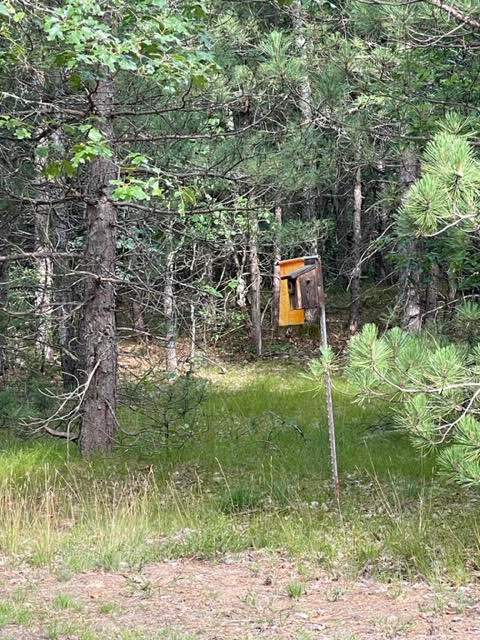 566 Marzinski Road Manistee, MI 49660 - Photo 30 of 35 Boundary