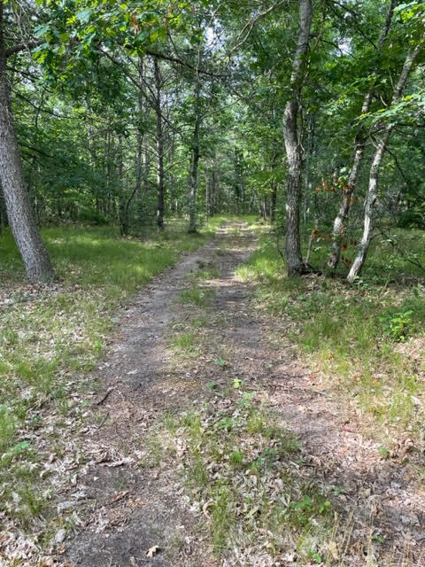 566 Marzinski Road Manistee, MI 49660 - Photo 31 of 35 Two tracks