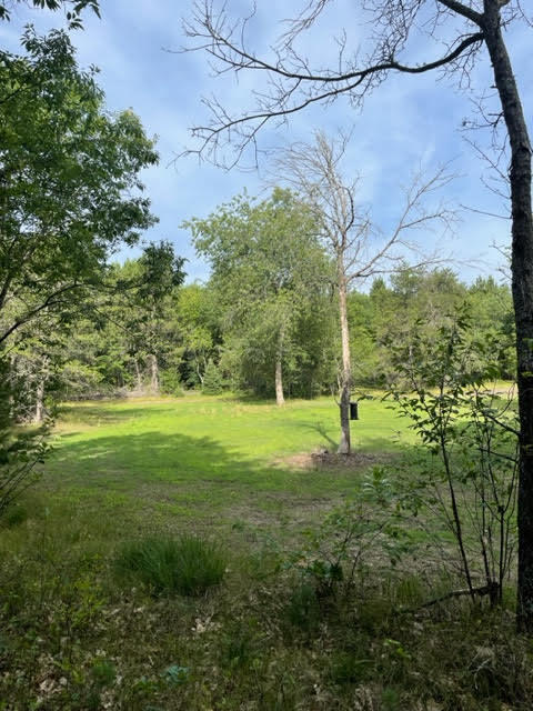 566 Marzinski Road Manistee, MI 49660 - Photo 33 of 35 View from blind