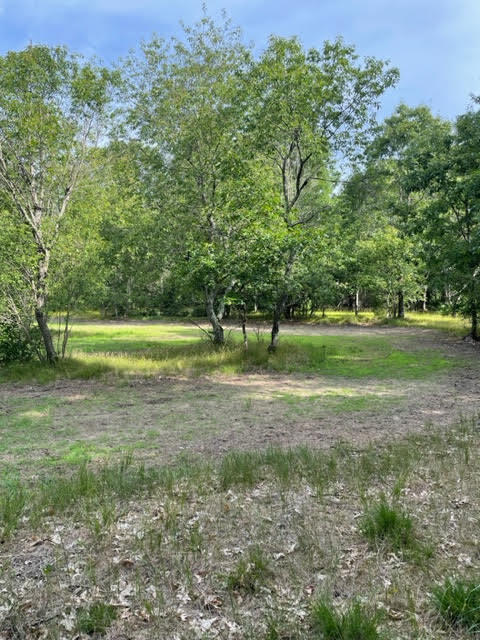 566 Marzinski Road Manistee, MI 49660 - Photo 34 of 35 View