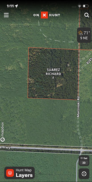 566 Marzinski Road Manistee, MI 49660 - Photo 35 of 35 Aerial