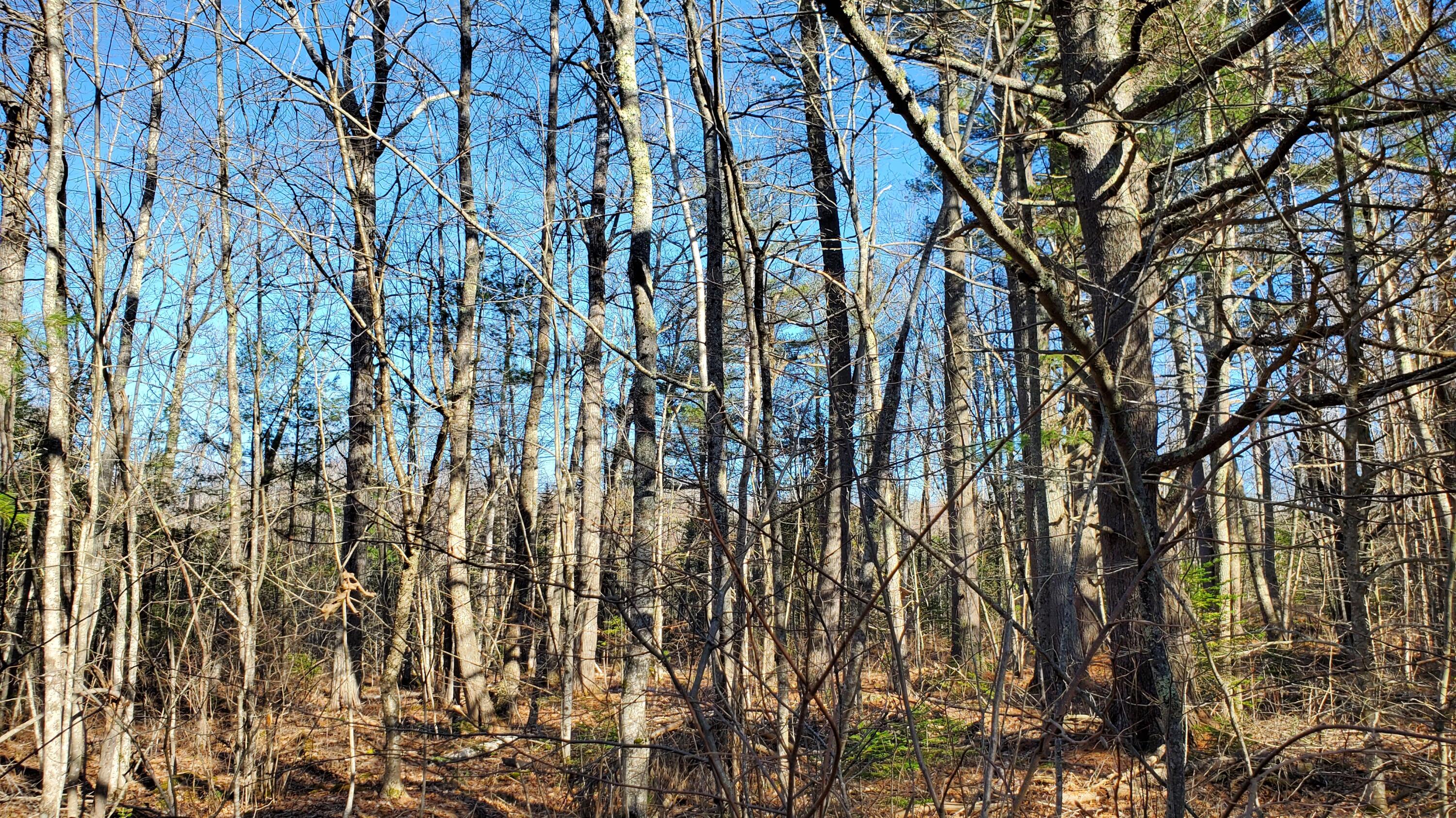 M1-l57a Back Belmont Road Belfast, ME 04915 - Photo 16 of 20 new15