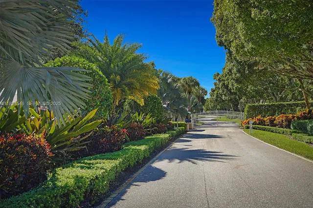 a view of a park with large trees
