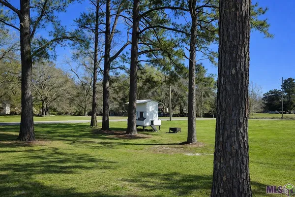 $310,000 | 10333 John Savoy Road, St. Amant, LA 70774