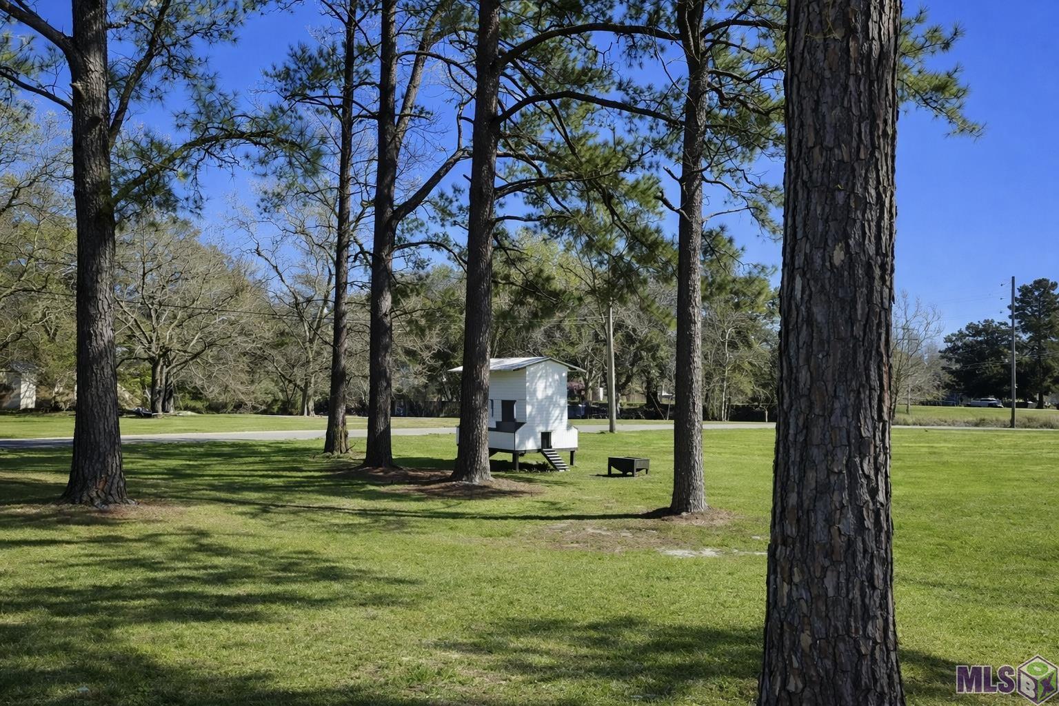 10333 John Savoy Road St. Amant, LA 70774 - Photo 23 of 32