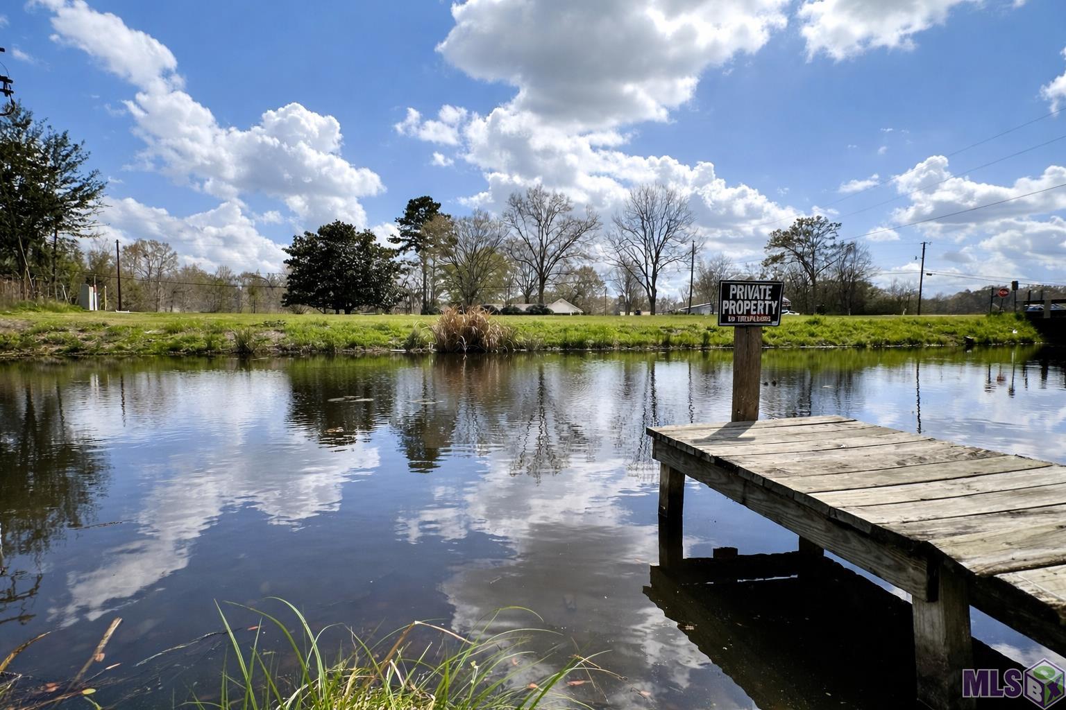 10333 John Savoy Road St. Amant, LA 70774 - Photo 4 of 32