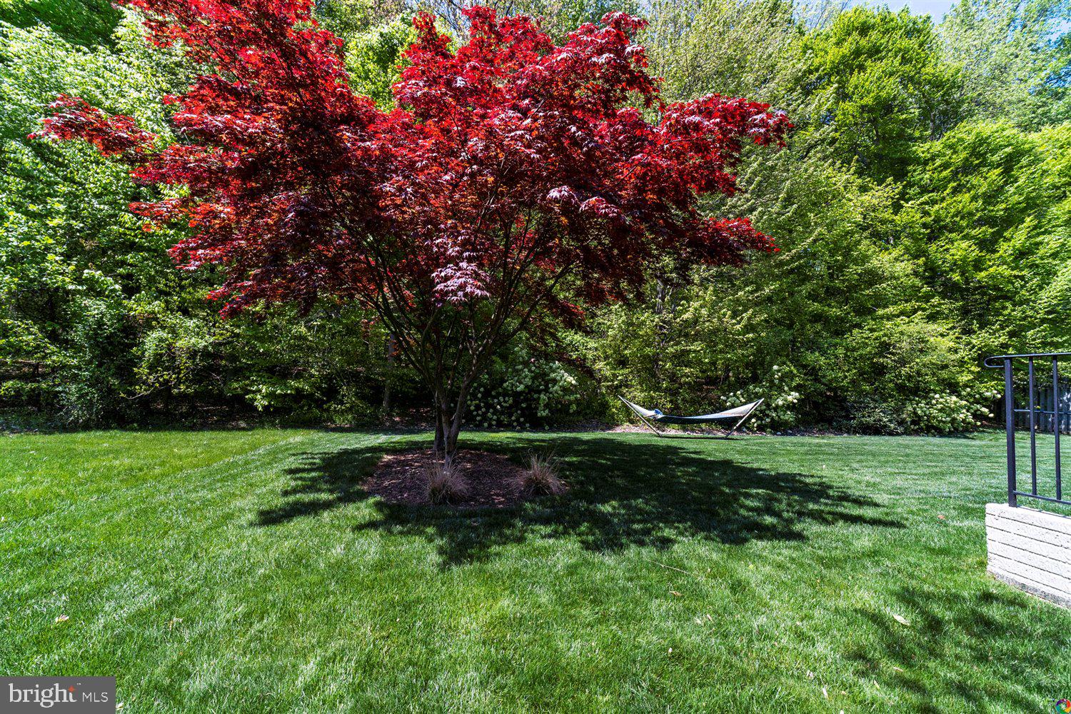 6070 Deer Ridge Trail Springfield, VA 22150 - Photo 84 of 85
