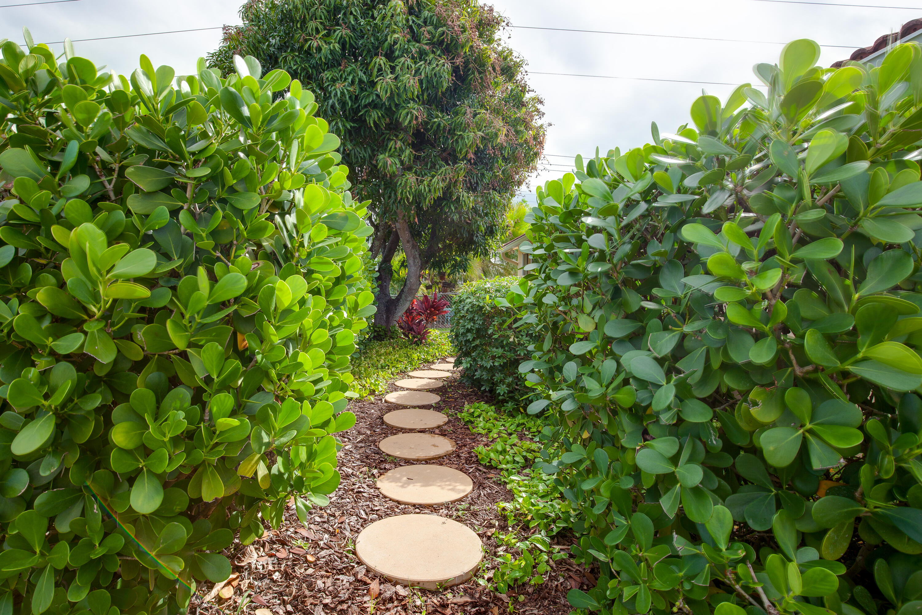 1214 Southwest 9th Avenue Boca Raton, FL 33486 - Photo 24 of 31 Backyard 1
