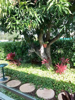 1214 Southwest 9th Avenue Boca Raton, FL 33486 - Photo 28 of 31 Backyard 5
