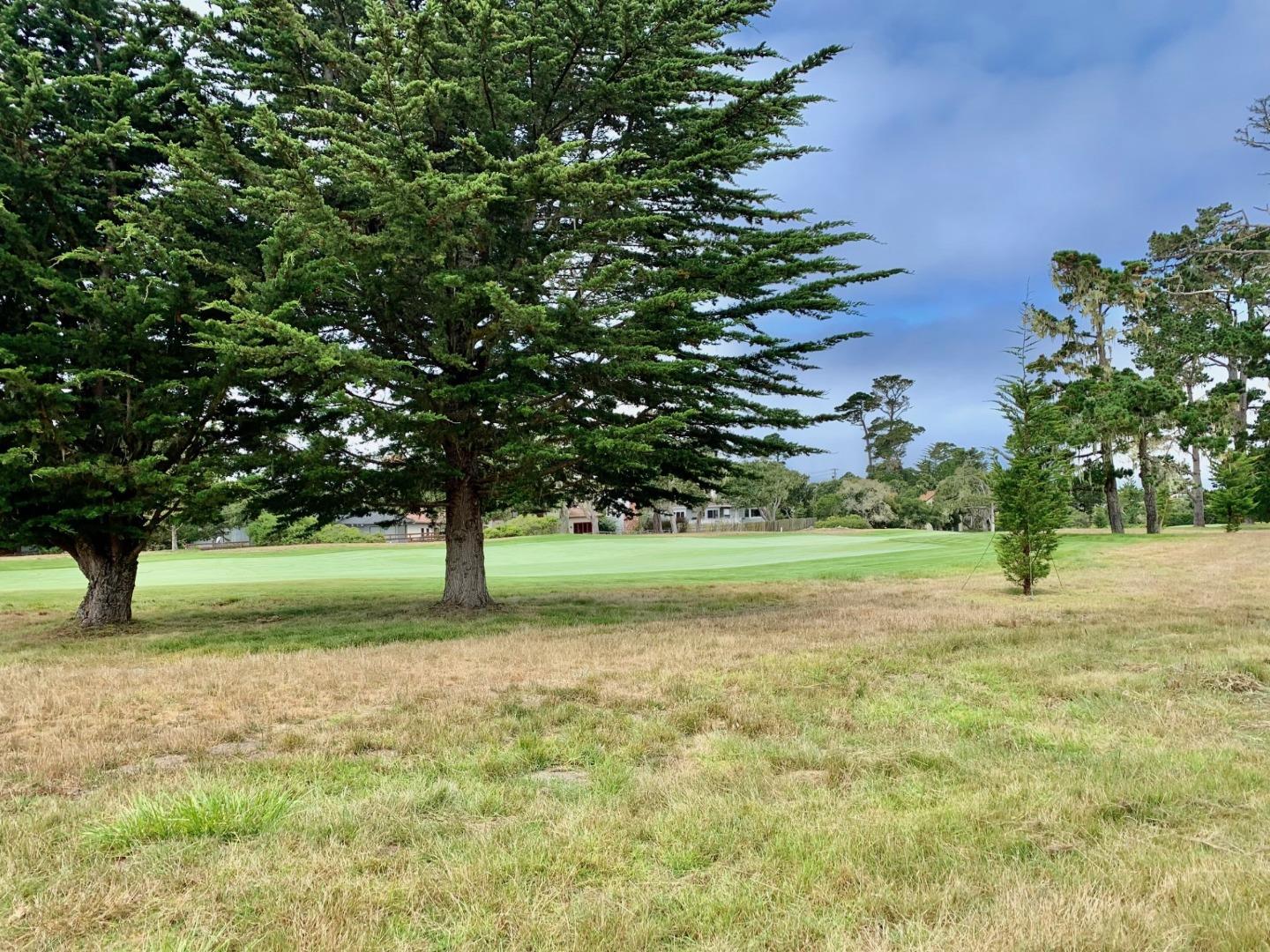 1012 San Carlos Road Pebble Beach, CA 93953 - Photo 18 of 20 a view of backyard with green space