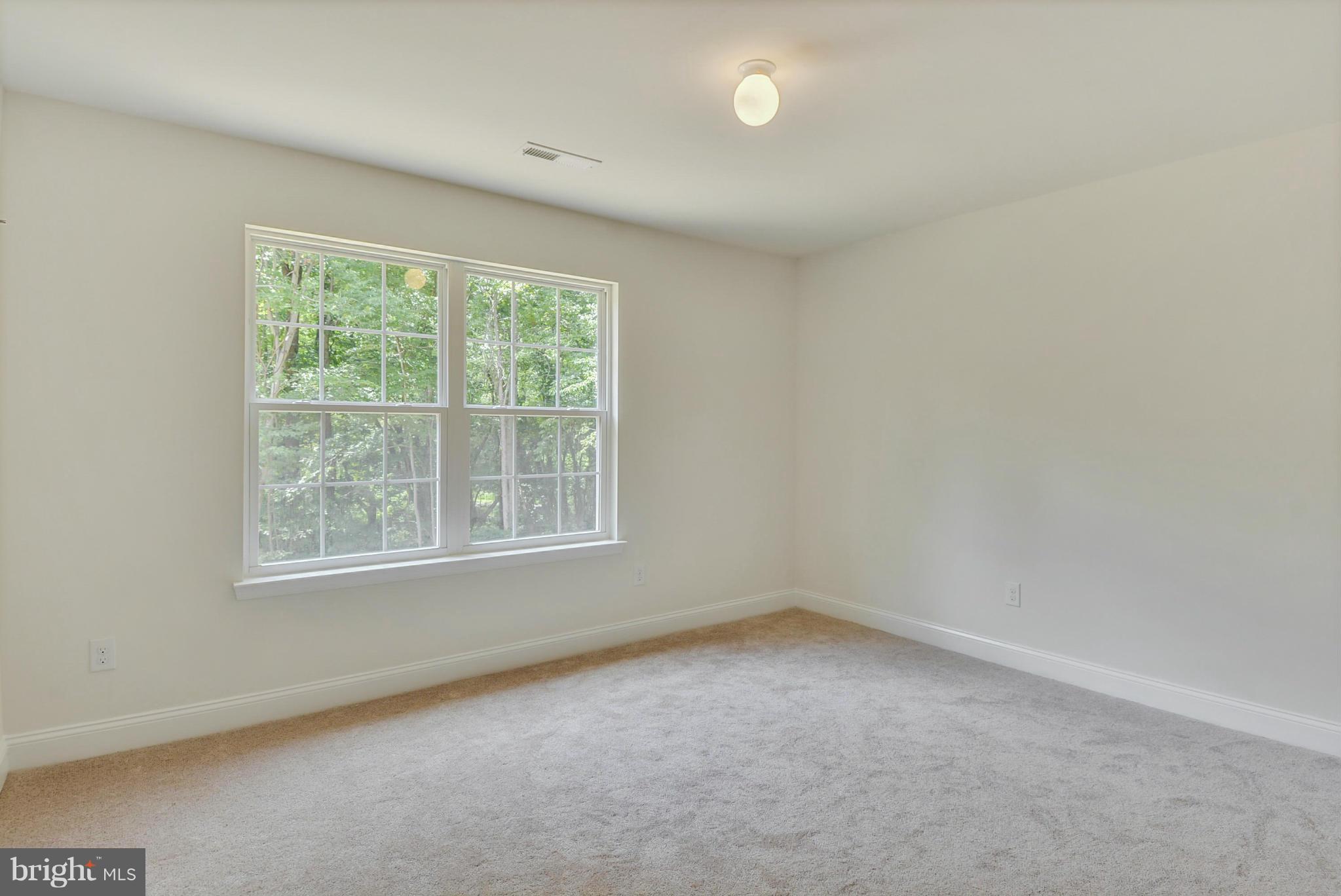 Rogues Road Midland, VA 22728 - Photo 13 of 24