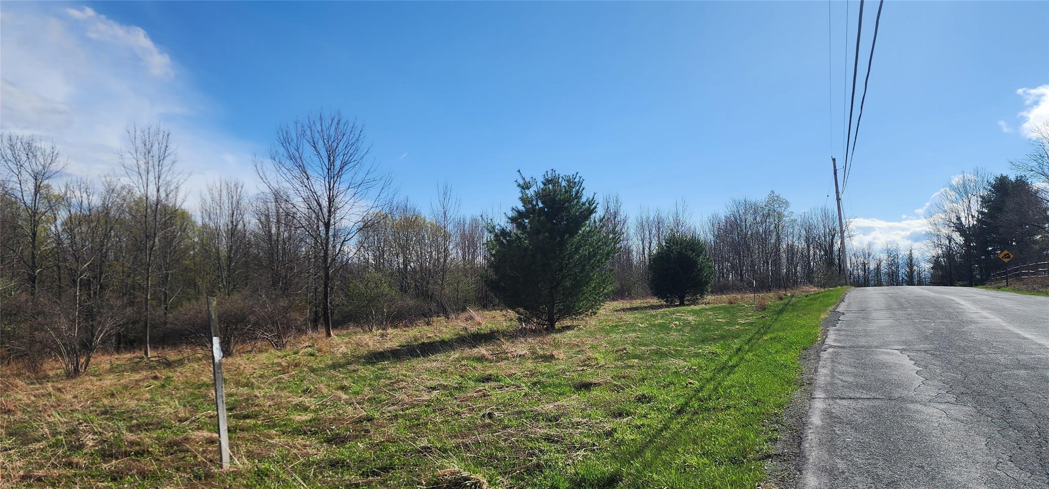 Budd Road Woodbourne, NY 12788 - Photo 2 of 8 a view of a yard