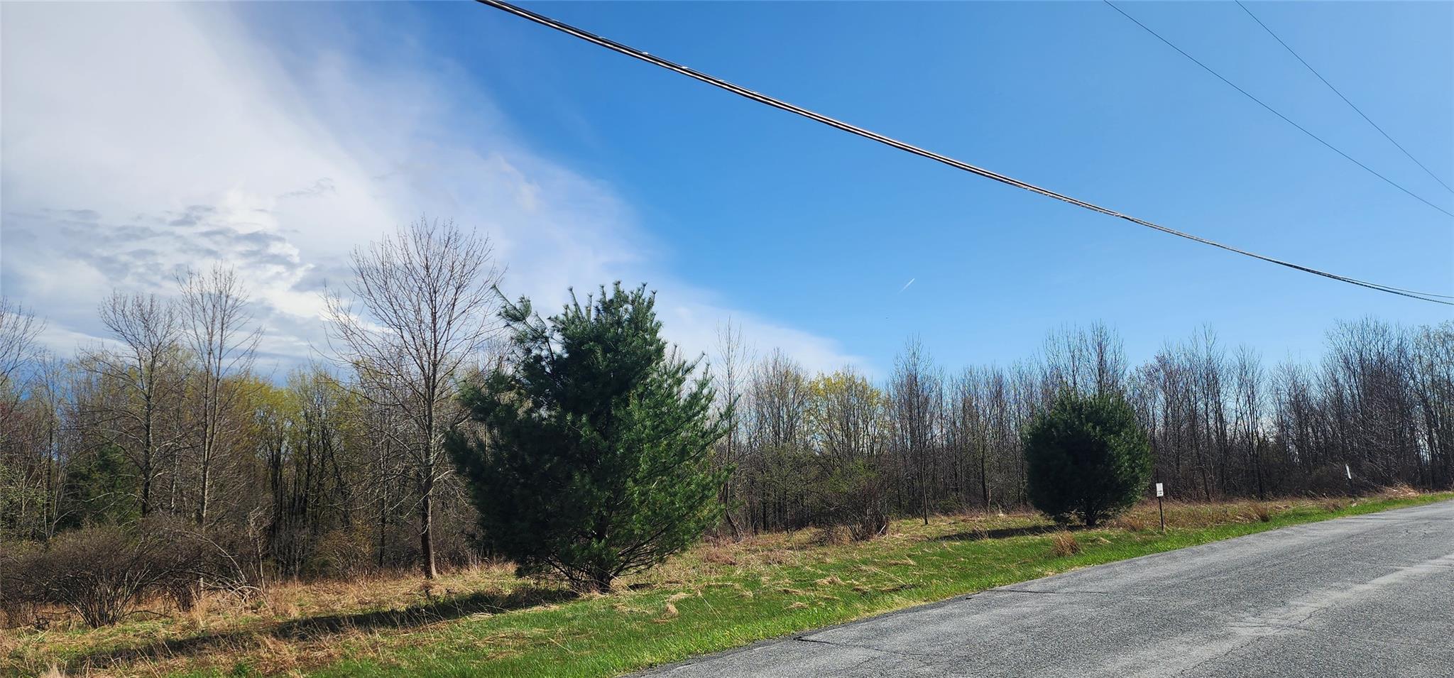 Budd Road Woodbourne, NY 12788 - Photo 3 of 8 a backyard of a house