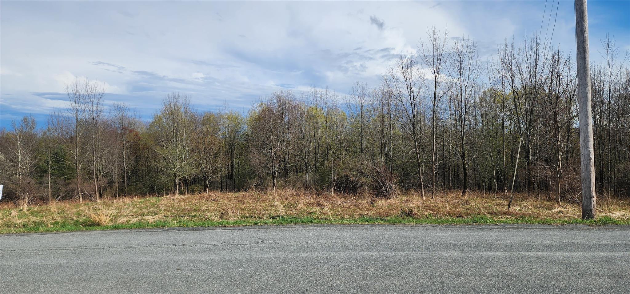 Budd Road Woodbourne, NY 12788 - Photo 7 of 8 a view of a yard and a wooden fence