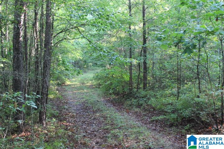 Bradford Road Lineville, AL 36266 - Photo 12 of 16