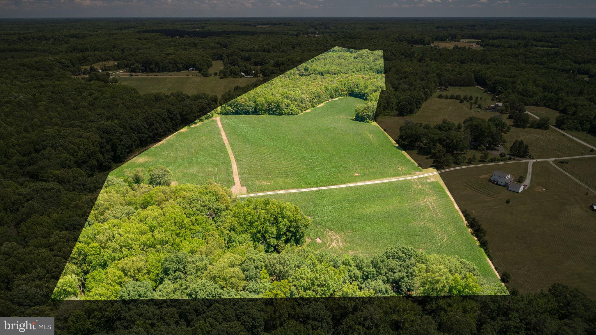 17254 Summer Meadow Road Beaverdam, VA 23015 - Photo 42 of 43 Highlighted property outline