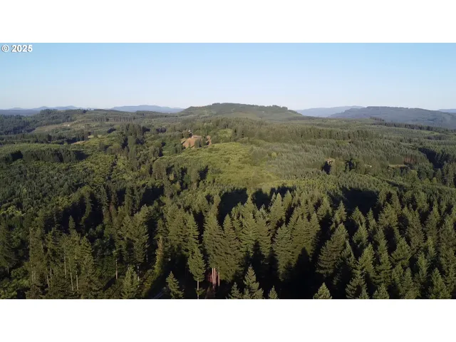 $319,000 | 0 Northeast 171st Court, Yacolt, WA 98675