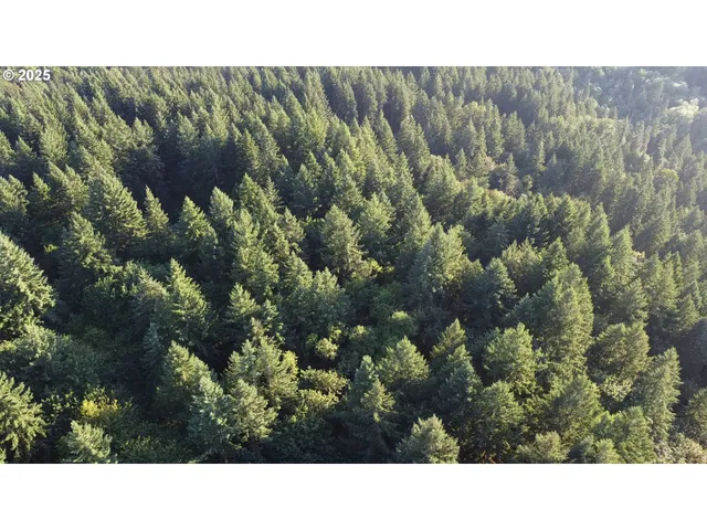 $319,000 | 0 Northeast 171st Court, Yacolt, WA 98675