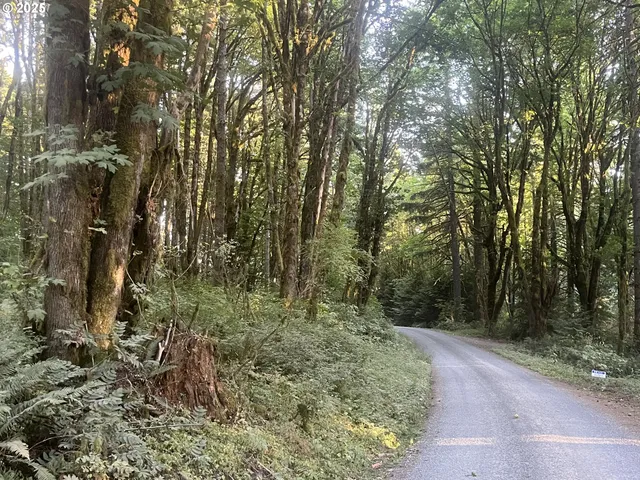 $319,000 | 0 Northeast 171st Court, Yacolt, WA 98675