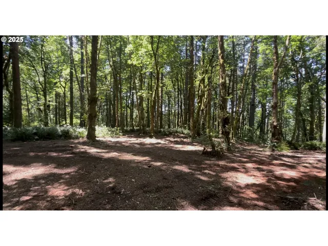 $319,000 | 0 Northeast 171st Court, Yacolt, WA 98675