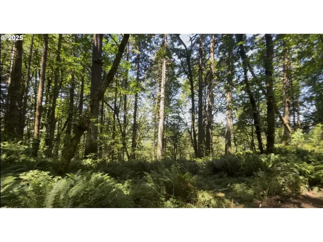 $319,000 | 0 Northeast 171st Court, Yacolt, WA 98675