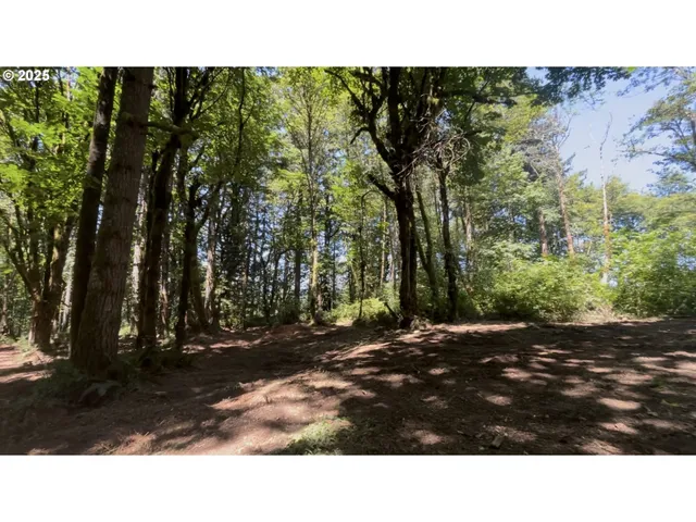 $319,000 | 0 Northeast 171st Court, Yacolt, WA 98675