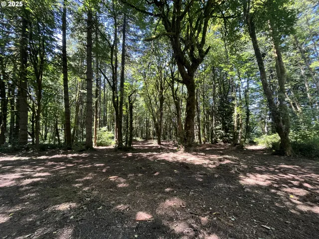 $319,000 | 0 Northeast 171st Court, Yacolt, WA 98675