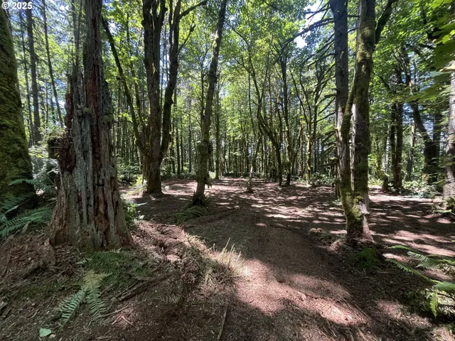 $319,000 | 0 Northeast 171st Court, Yacolt, WA 98675