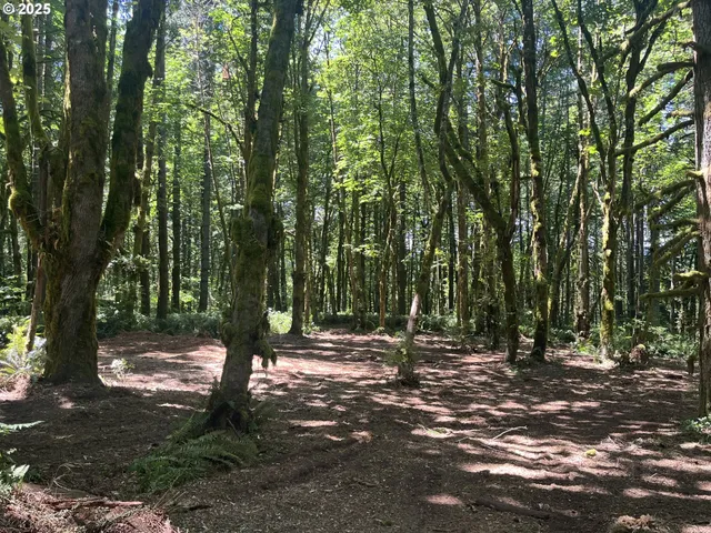 $319,000 | 0 Northeast 171st Court, Yacolt, WA 98675