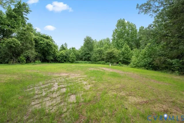 a view of a green field with a tree in the background