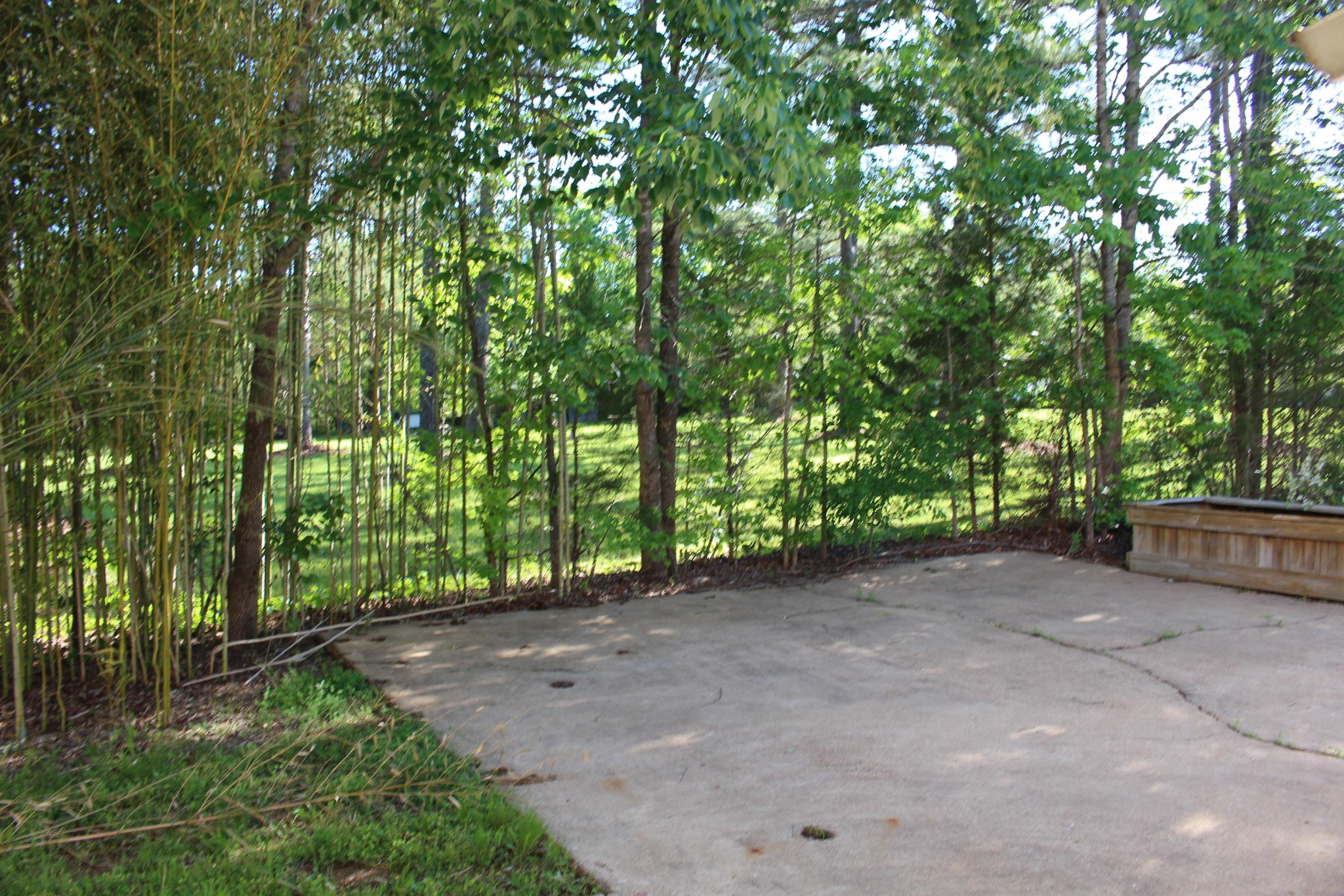 2133 Jenkins Road Chattanooga, TN 37421 - Photo 4 of 10 a view of a forest with trees in the background