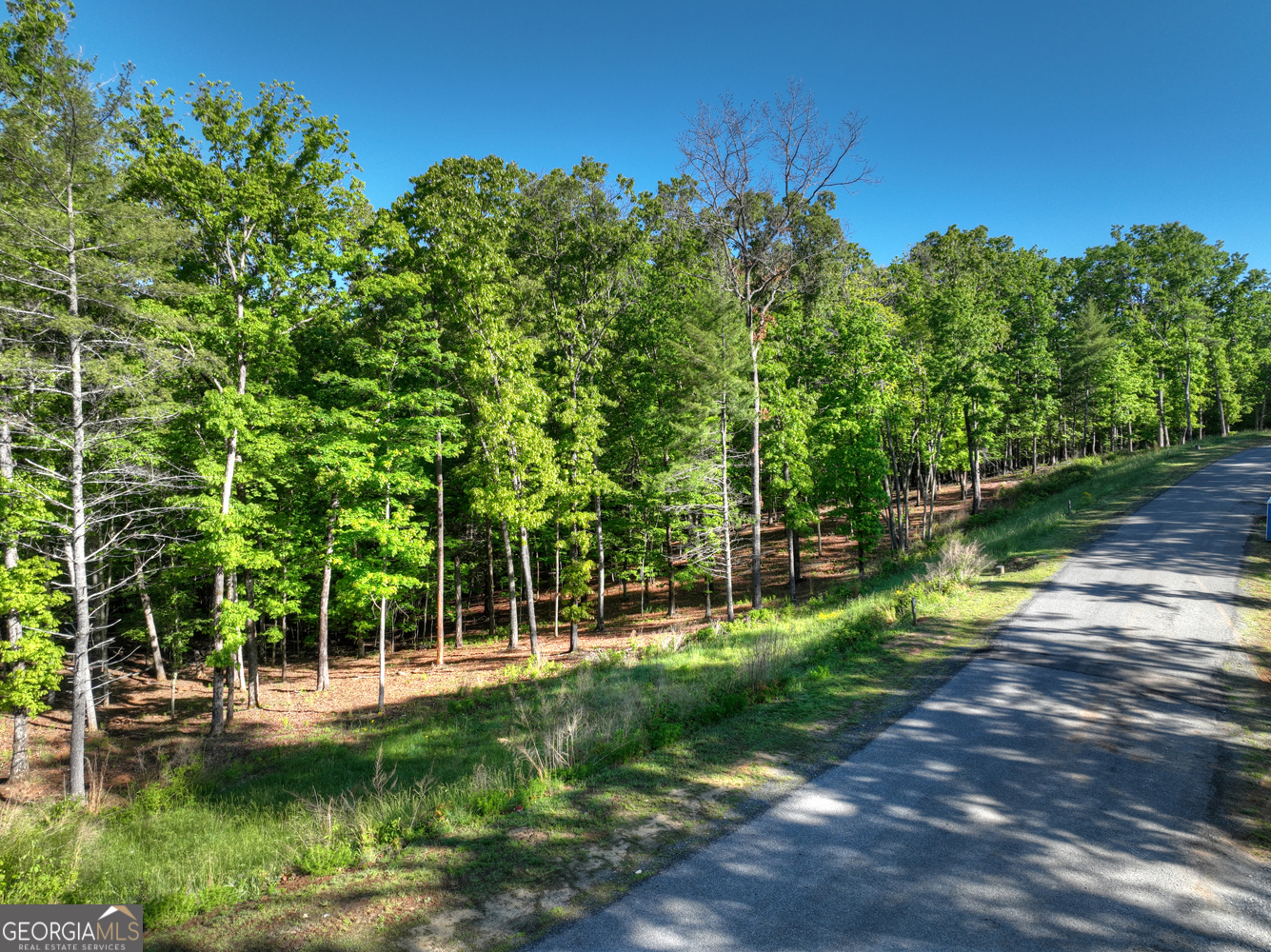 Lot 41 Ridge Drive Morganton, GA 30560 - Photo 32 of 34