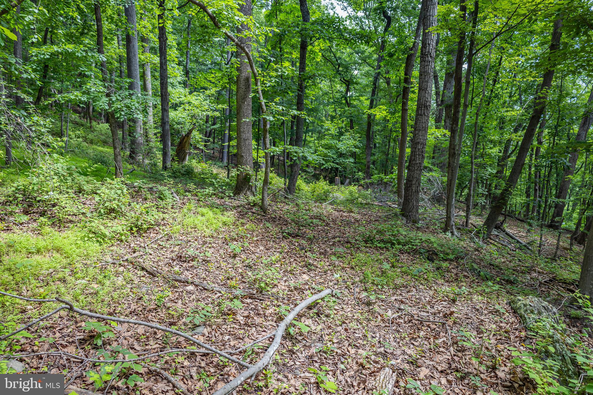 Tbd Comptons Road Castleton, VA 22716 - Photo 19 of 33