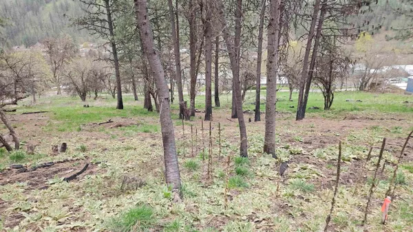 $41,000 | 56 Peck Id 83545, Peck, ID 83545