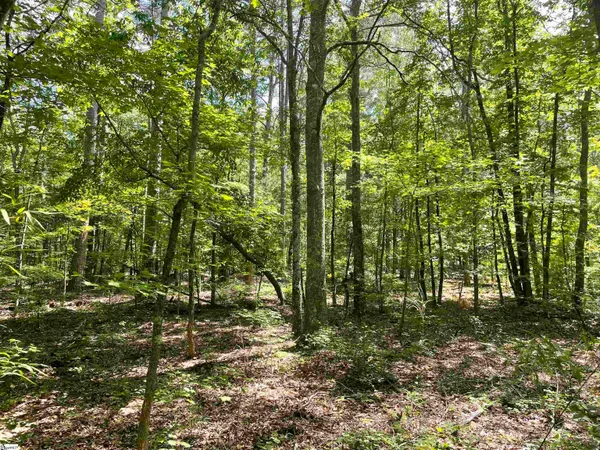 $119,500 | 0 Clatworthy Road, Honea Path, SC 29654