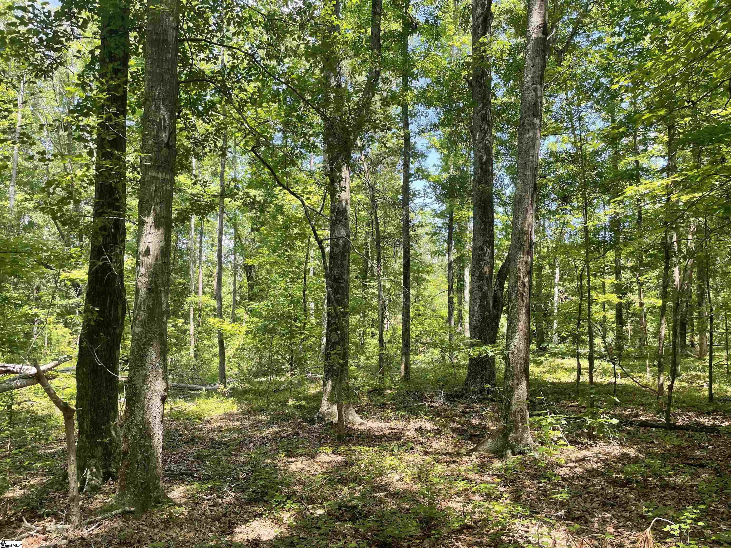 0 Clatworthy Road Honea Path, SC 29654 - Photo 3 of 25