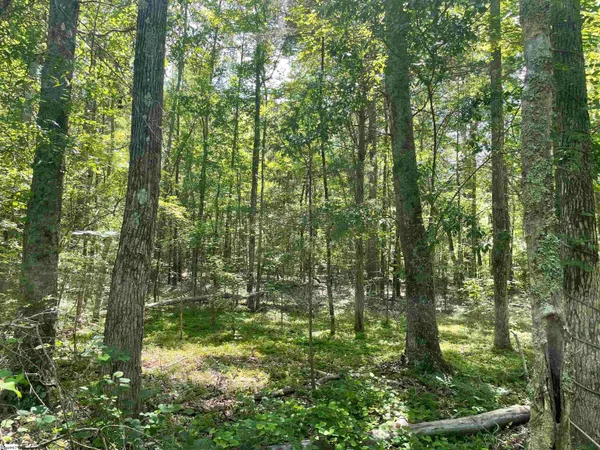 $119,500 | 0 Clatworthy Road, Honea Path, SC 29654