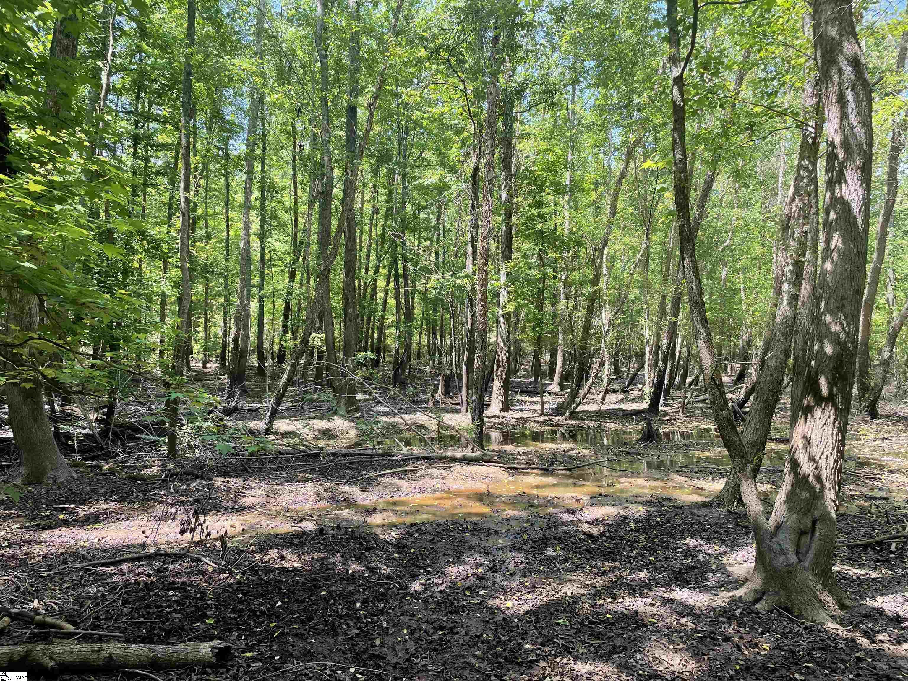 0 Clatworthy Road Honea Path, SC 29654 - Photo 7 of 25