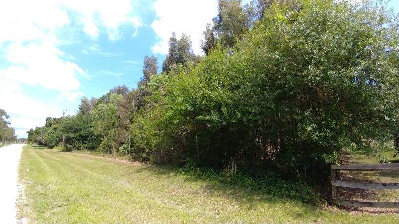 18683 43rd Road North Loxahatchee, FL 33470 - Photo 3 of 7 43rd RD