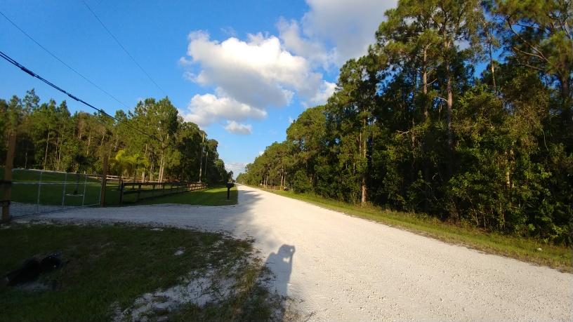 18683 43rd Road North Loxahatchee, FL 33470 - Photo 4 of 7 43rd RD-view to east